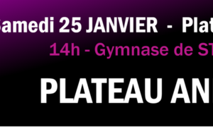 Plateau Mini-HandSt GENCE Annulé