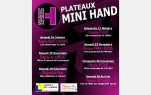 Calendrier Plateau Mini-Hand