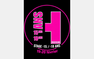 Stage  handball -15 / 18 garçons (journee2)