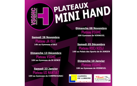 Planning Mini-Hand 1ère partie de Saison 20/21/2020